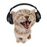 A light brown cat screaming with headphones on, presumably from joy.