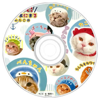 A CD with cats from an advertisement selling brightly colored hats for cats.